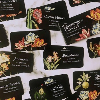 The Language of Flowers Inspiration kortos Rockpool